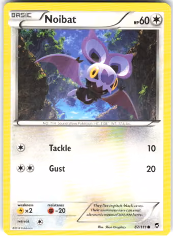 Noibat, 87/111